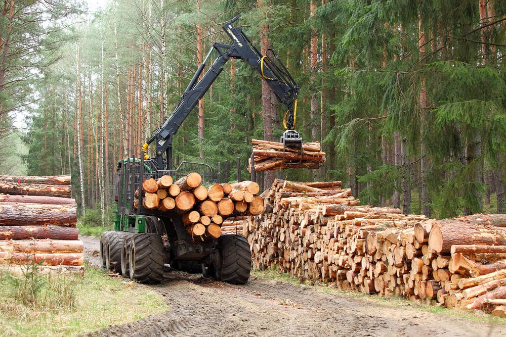Forestry